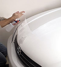 Vehicle Paint Protection